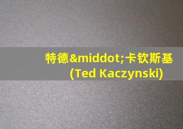 特德·卡钦斯基(Ted Kaczynski)